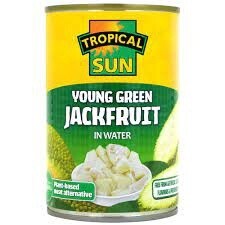 TS Green Jackfruit in Water