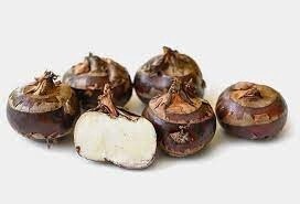 Water Chestnut 马蹄 500g