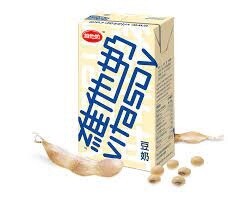 Vita Soybean Milk 250ml