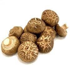 Fresh Shitake Mushroom