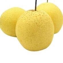 Duck Pear 50p