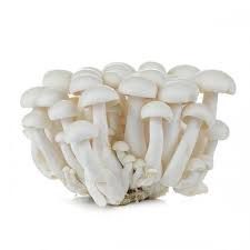 White Shimeji Mushroom 白玉菇 150g