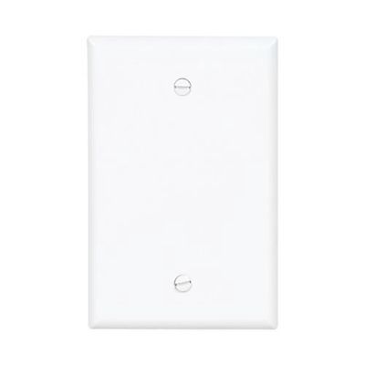 Blank White Wallplate Cover