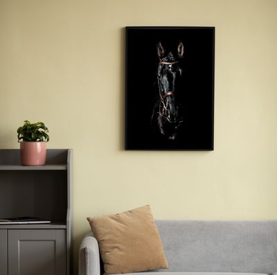 Cuadro Caballo 30x40cm