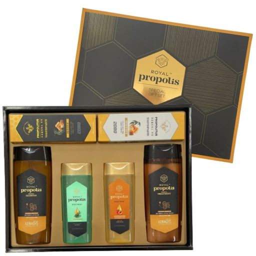 KERASYS ROYAL PROPOLIS SPECIAL SET #28