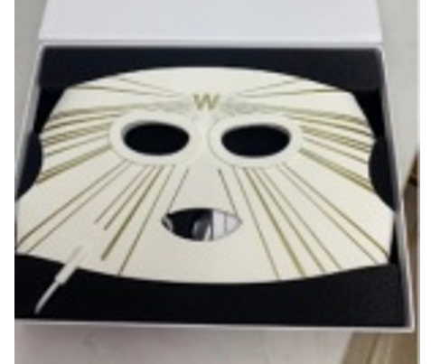 D39 LED LIGHT THERAPY SILICONE FACE MASK - WHITE