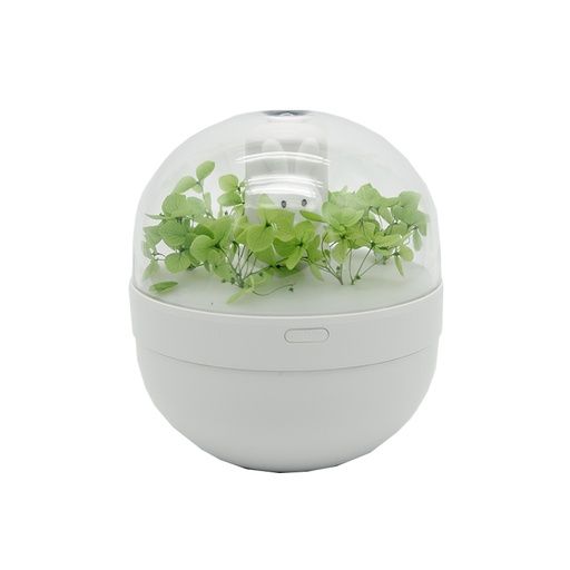 RABBIT HUMIDIFICADOR VERDE