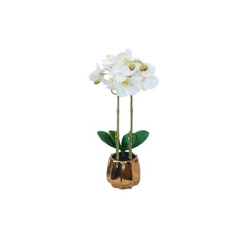 DECO ORQUIDEA GRANDE BLANCA CON FLORERO DORADO