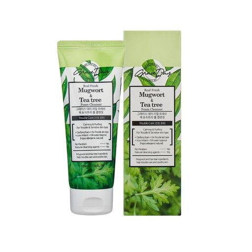 GRACEDAY REAL FRESH MUGWORT &amp; TEA TREE FOAM CLEANSING 100ML