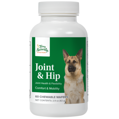 Joint and Hip Canine