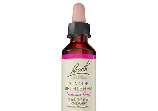 Bach Star of Bethlehem