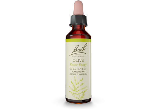 Bach Olive