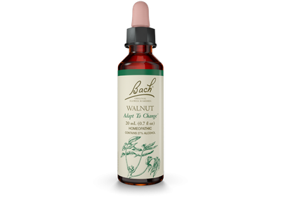 Bach  Walnut
