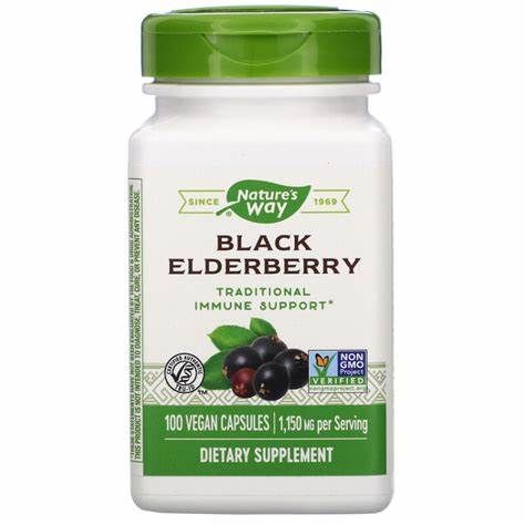 Black Elderberry