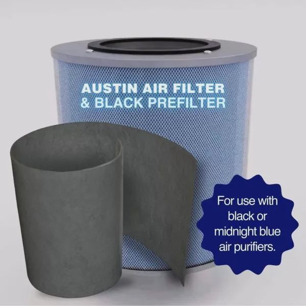 Austin Air Bedroom Machine Filter, Color: Black