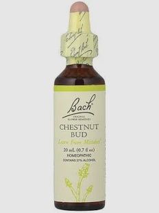 Bach Chestnut Bud