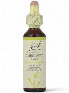 Bach Chestnut Bud