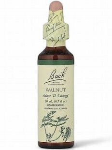 Bach Walnut