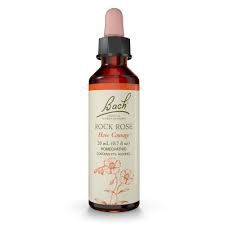 Bach Rock Rose