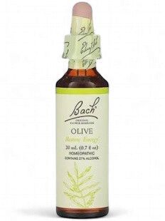 Bach Olive