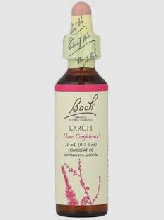 Bach Larch