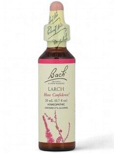 Bach Larch