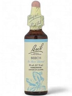 Bach Beech