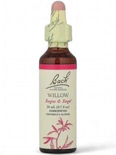 Bach Willow
