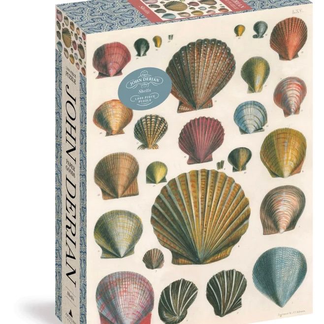 Shells - 1000 piece