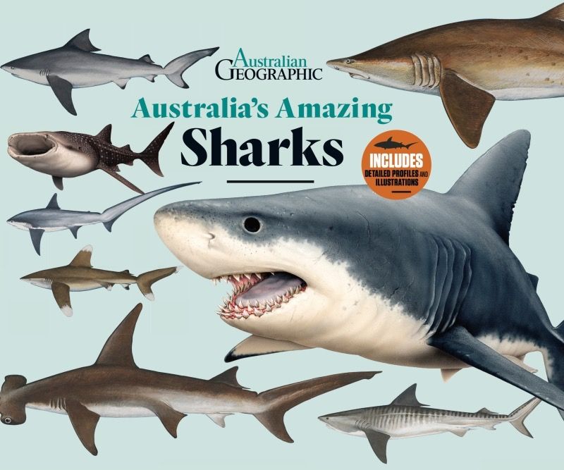 Australia's Amazing Sharks