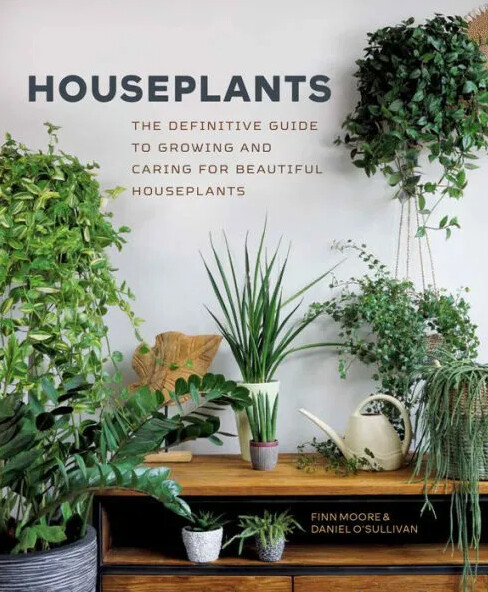 Houseplants by Finn Moore &amp; Daniel O&#39;Sullivan