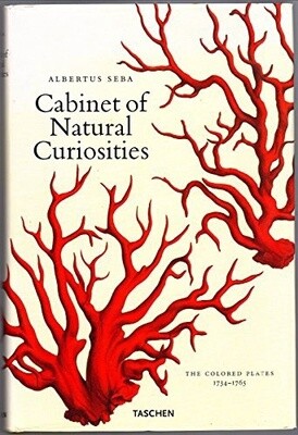 Cabinet of Natural Curiosities