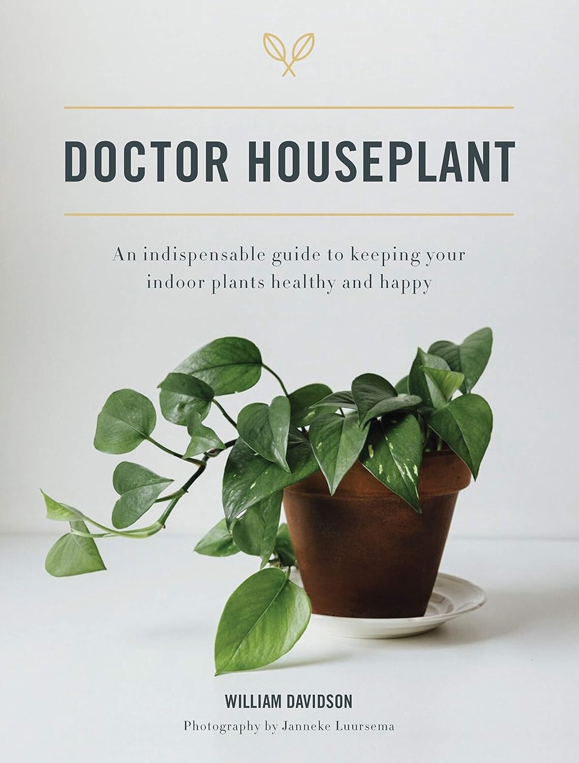 Doctor Houseplant: Keeping Your Houseplants Happy &amp; Healthy