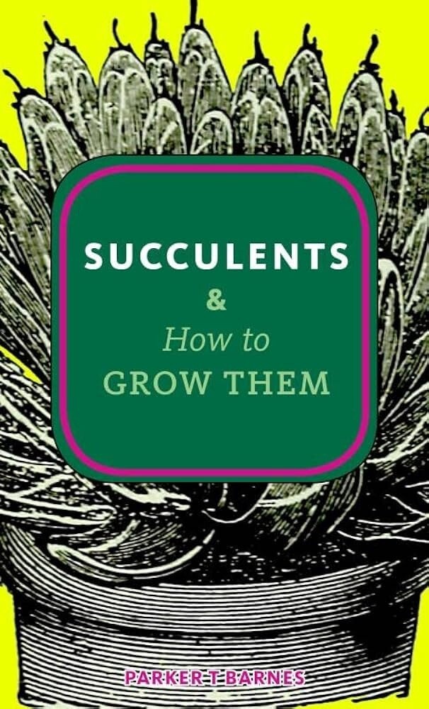 Succulents &amp; How to Grow Them