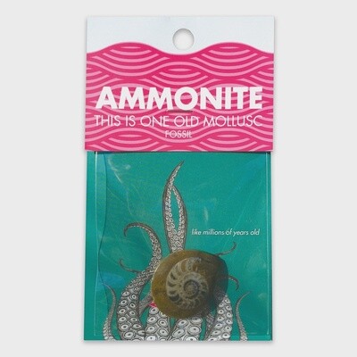 Ammonite Card