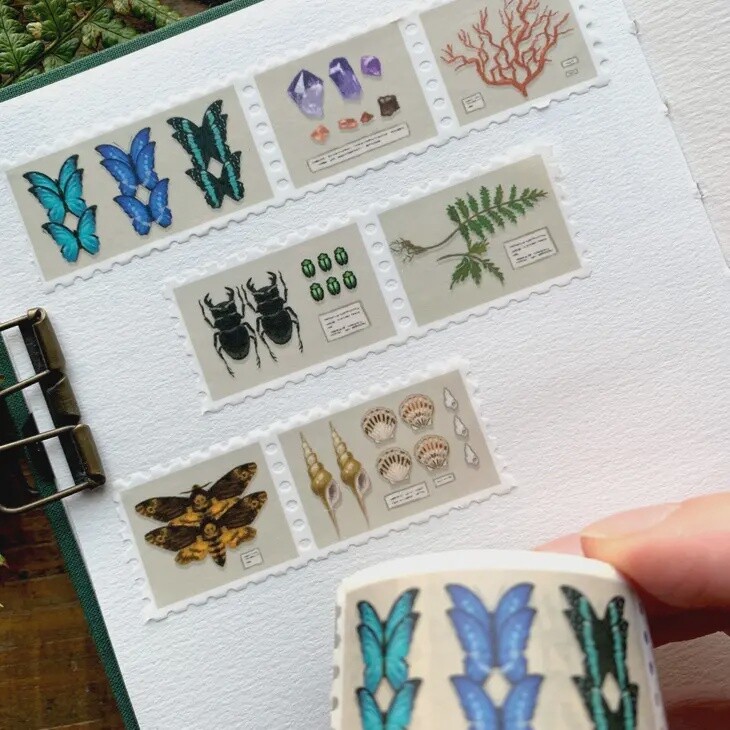 Specimen Drawer stamp washi tape