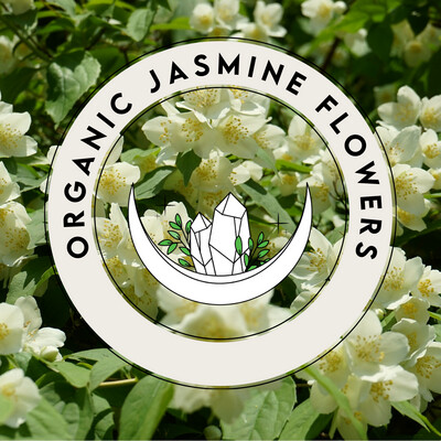 Jasmine Flowers