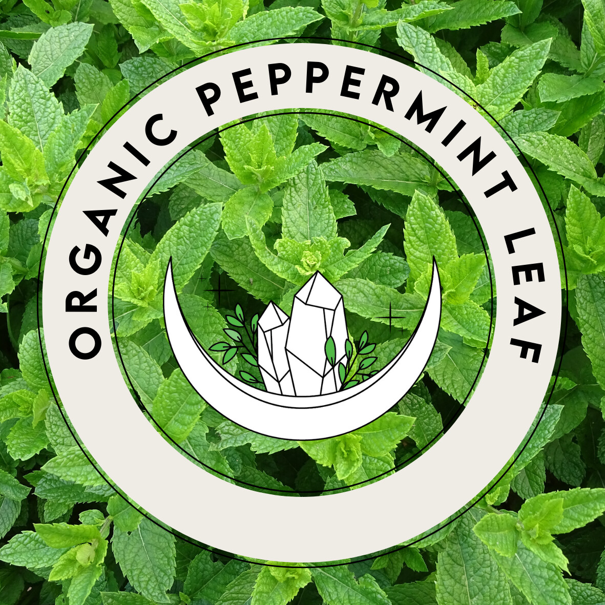 Peppermint Leaf