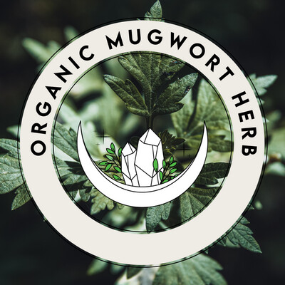 Mugwort Herb