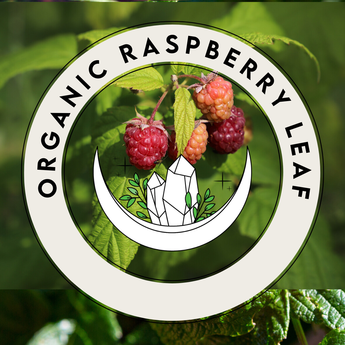 Raspberry Leaf