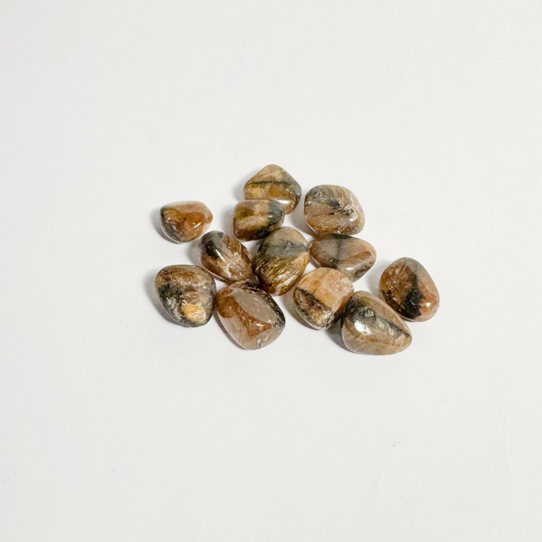 Chiastolite Tumbled Stone