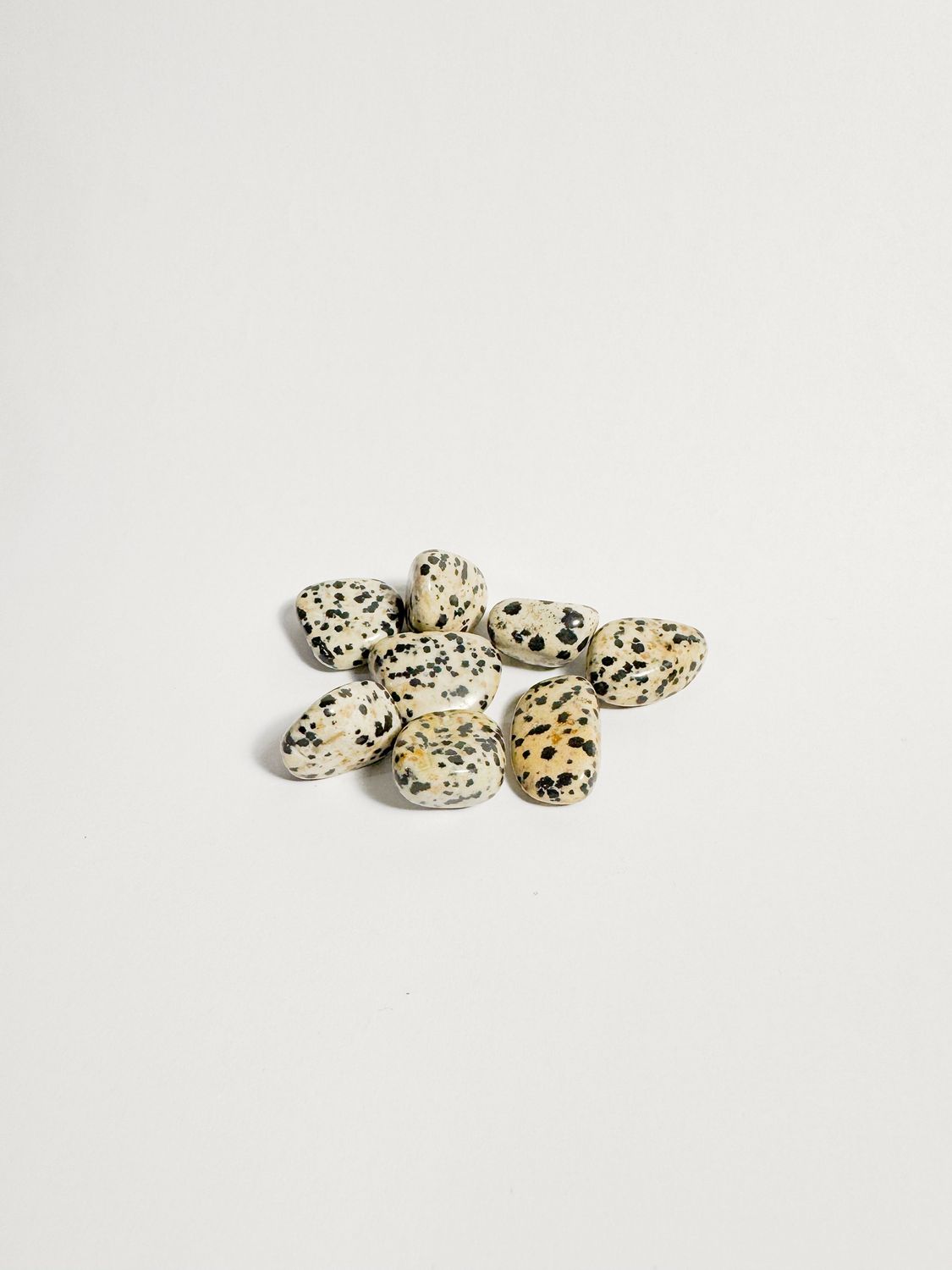 Jasper Dalmatian Tumbled Stone