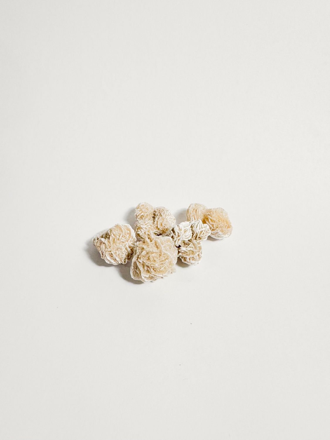 Desert Rose Selenite