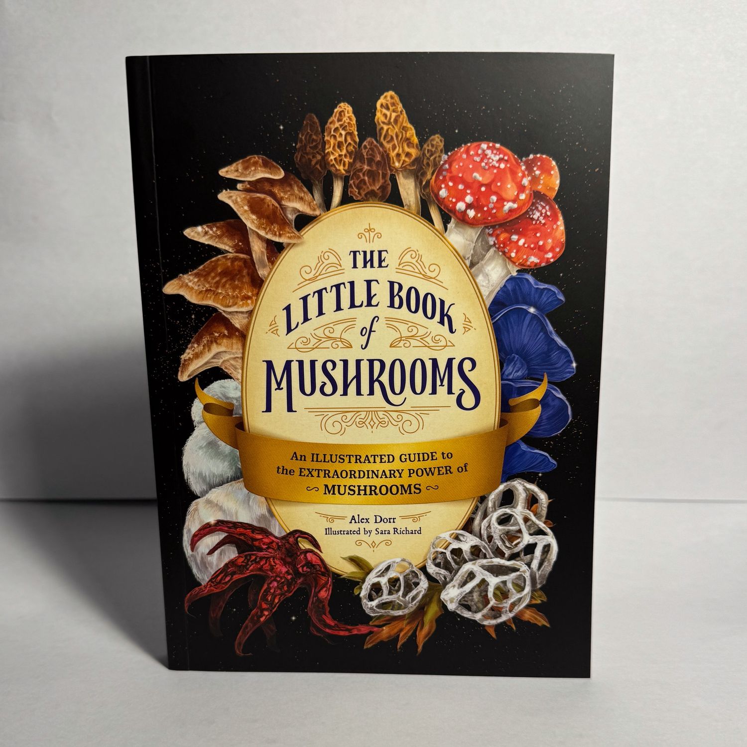Little Book of Mushrooms - Alex Dorr