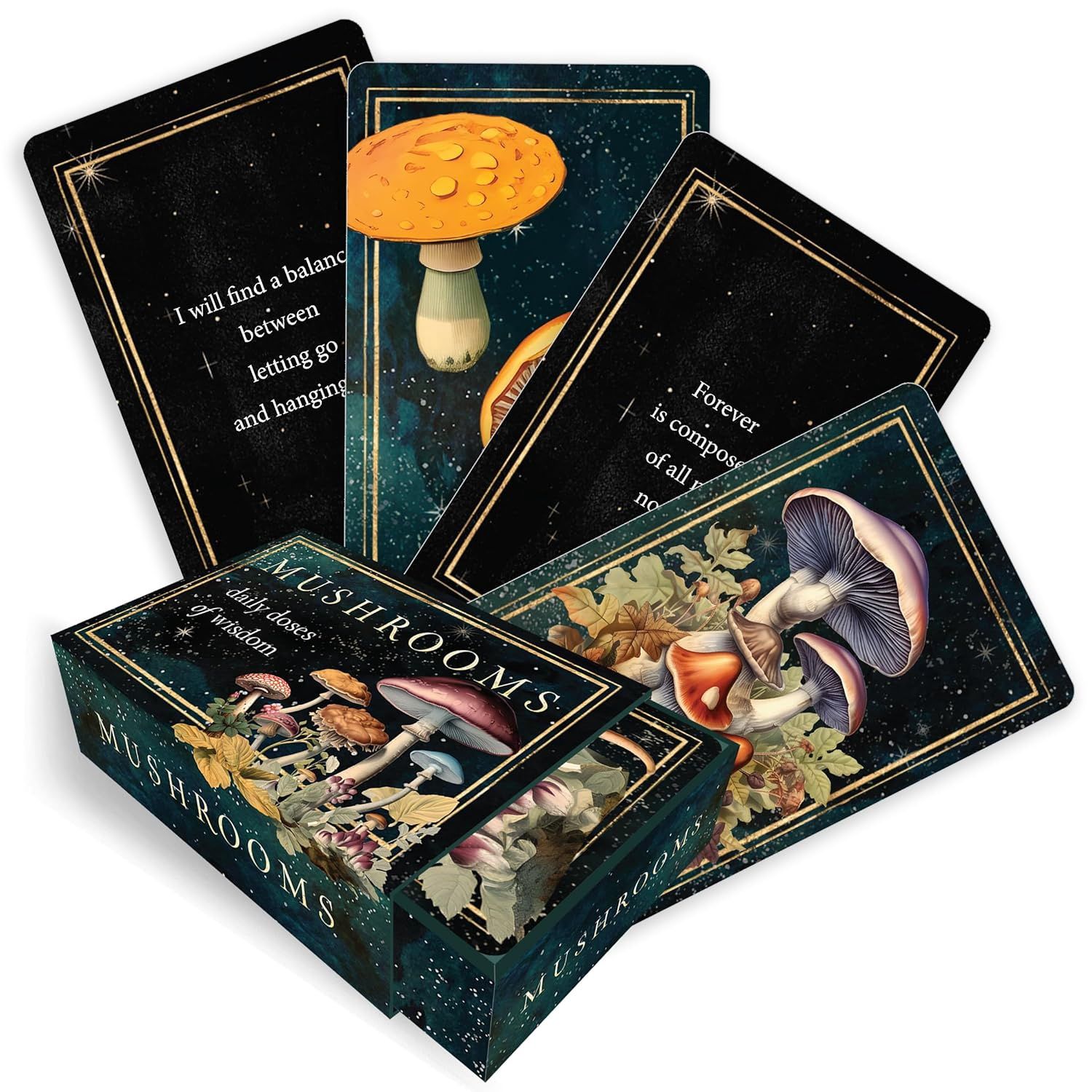 Mushrooms: Daily Doses of Wisdom Oracle Deck