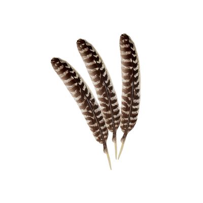 Cleansing Feather