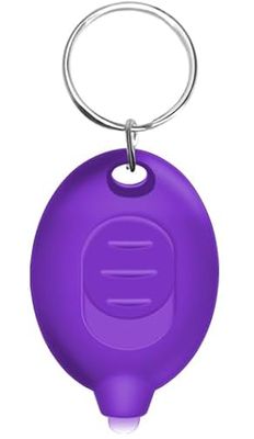 UV Flashlight Keychain