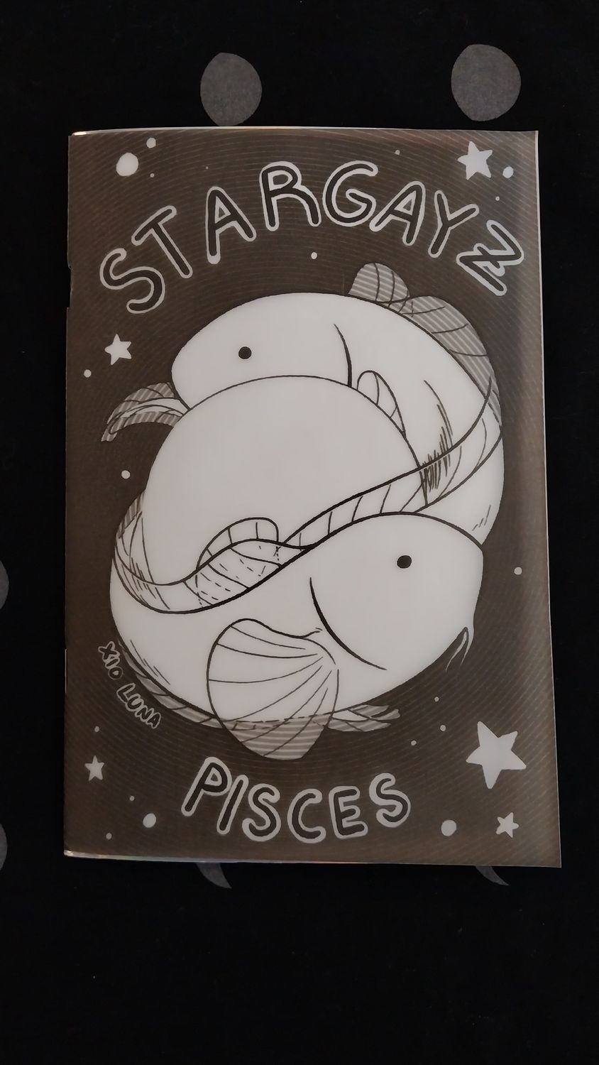 Star Gayz Pisces Zine