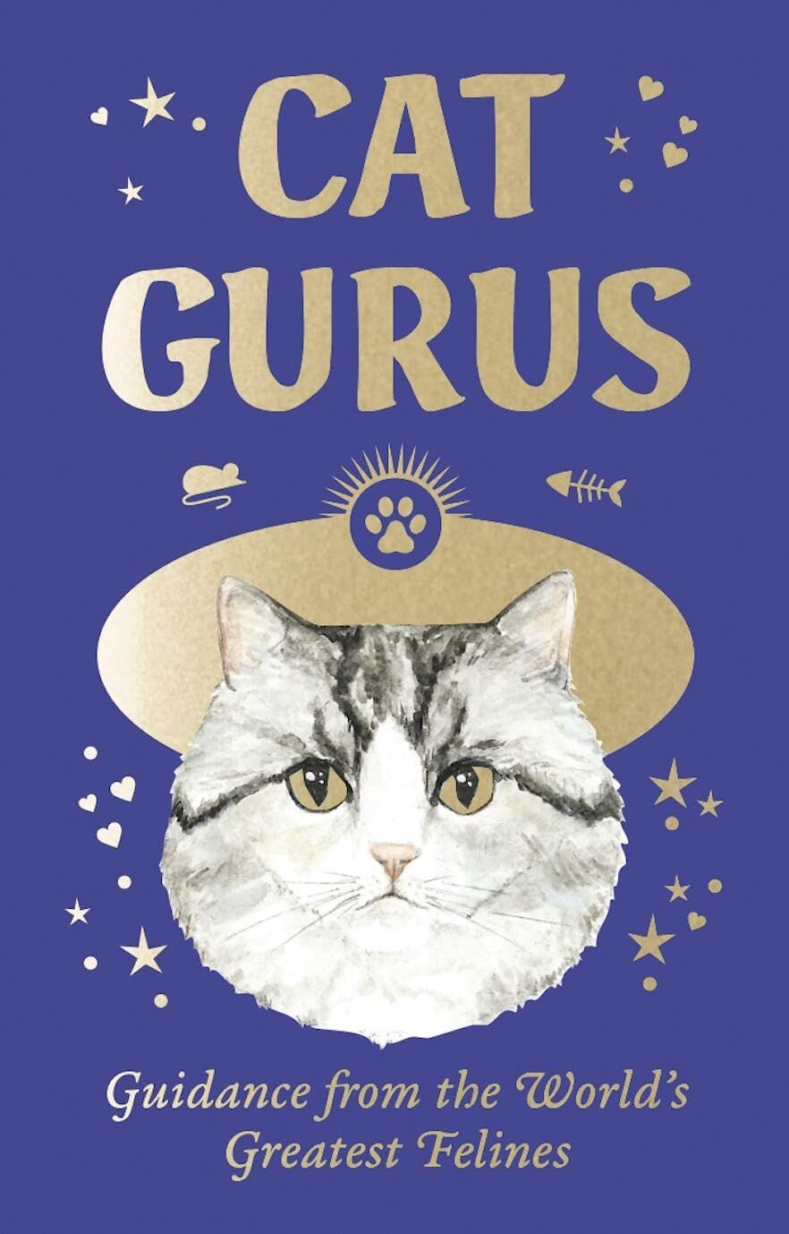 Cat Gurus Oracle Mini Deck