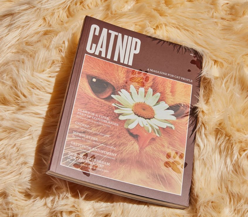 Catnip Magazine
